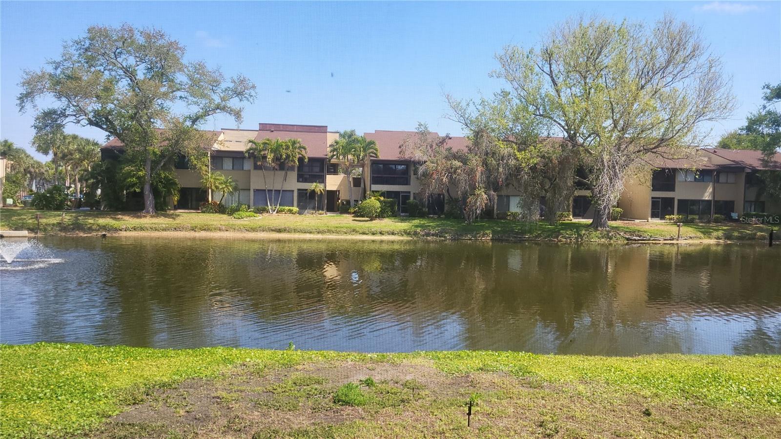 875 Village Unit 102, St Petersburg, FL 33716