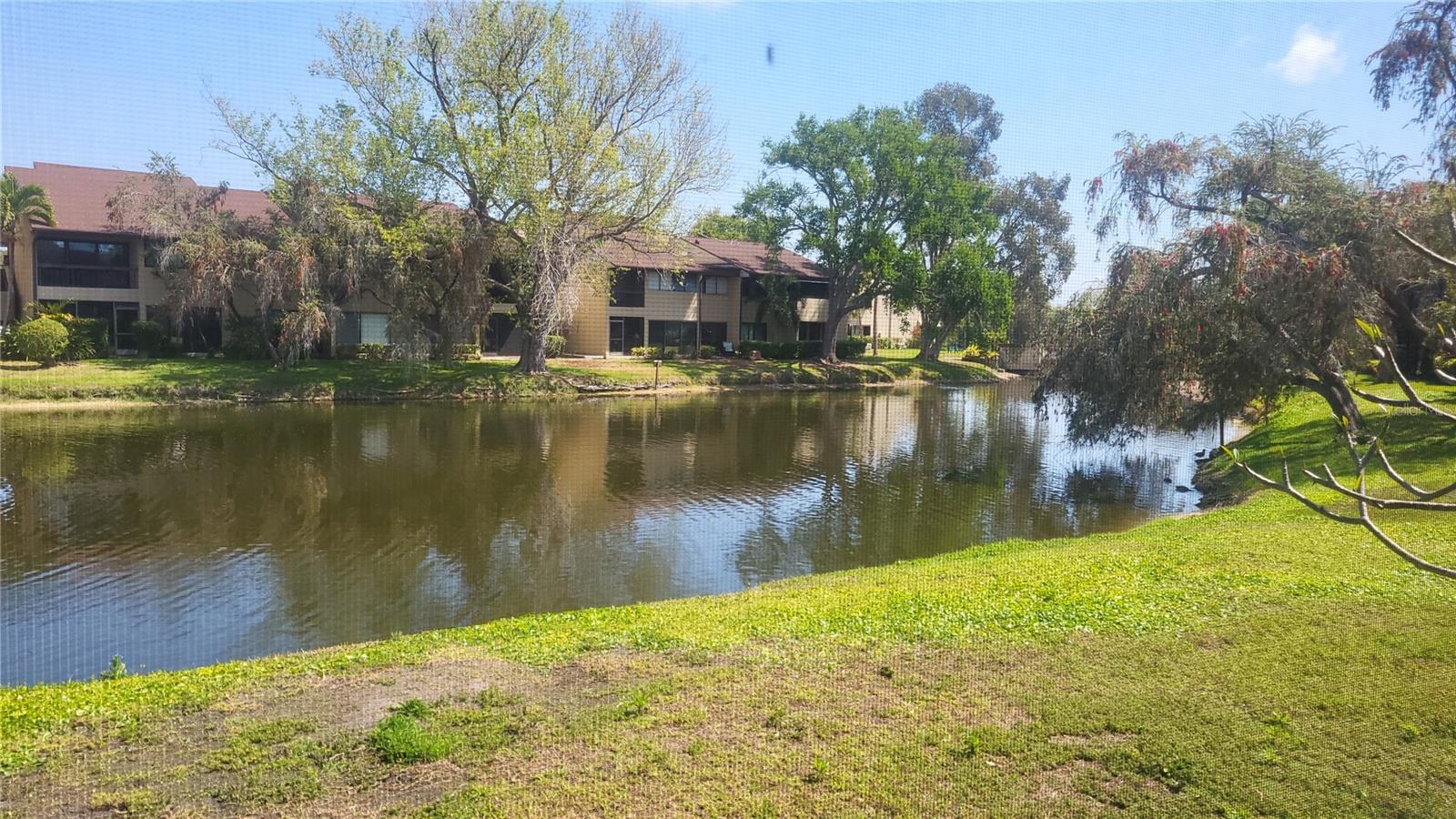 875 Village Unit 102, St Petersburg, FL 33716
