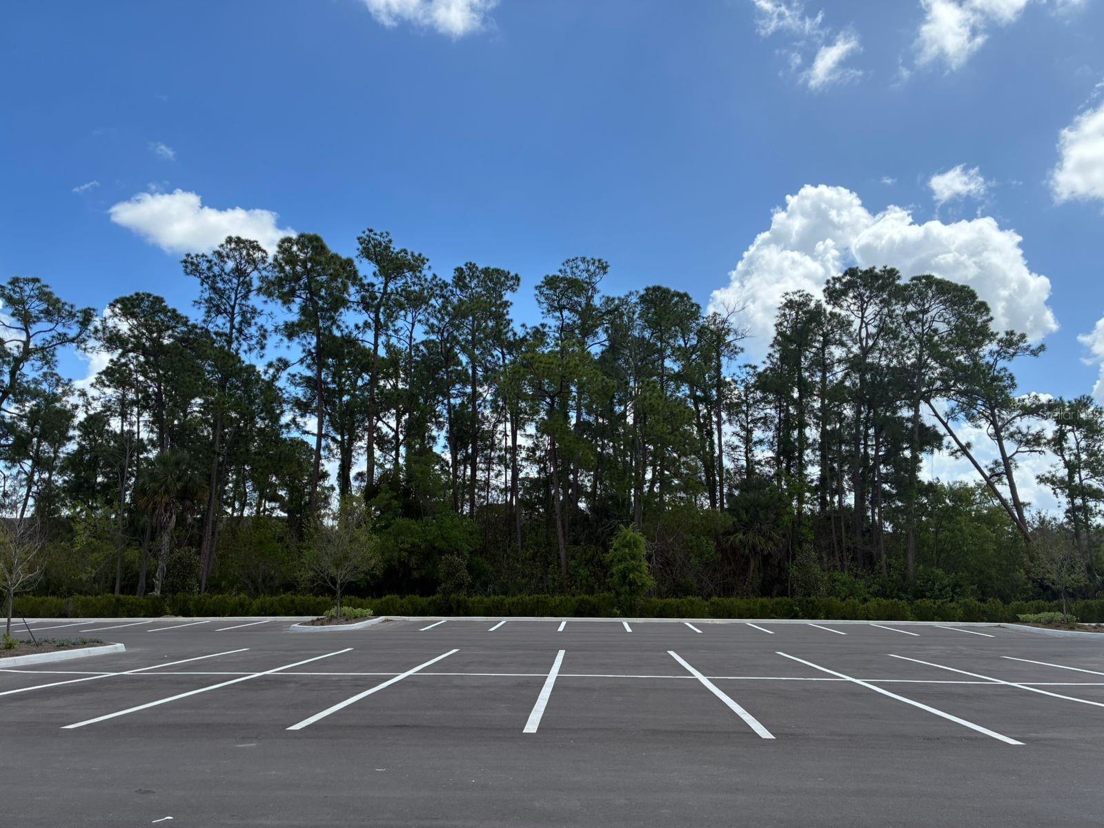 5587 Millenia Park Unit 318, Orlando, FL 32839