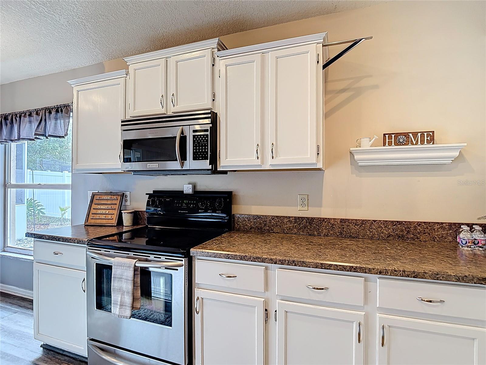 2631 Green Valley, Valrico, FL 33596