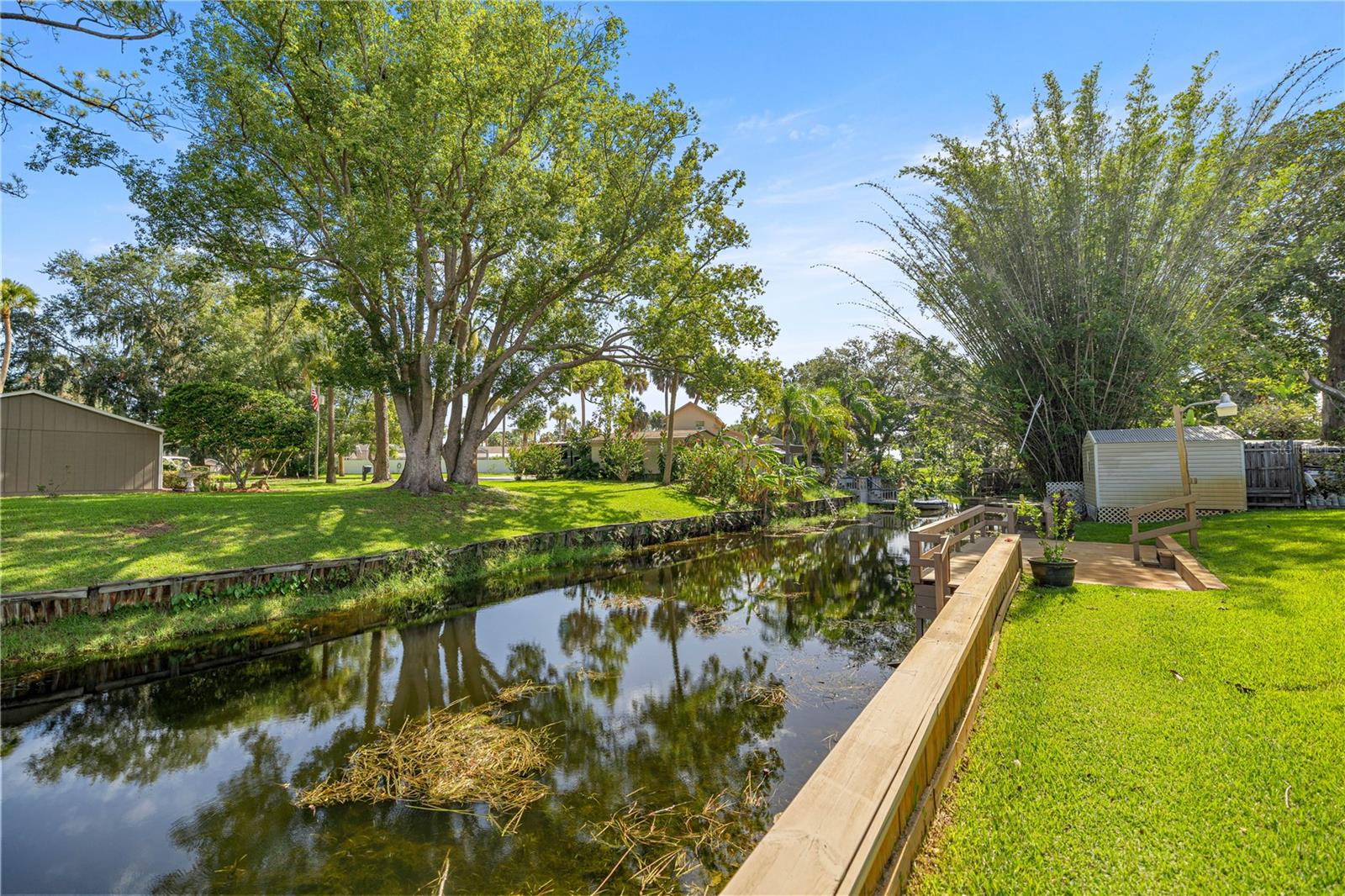 36 Chinica, Summerfield, FL 34491