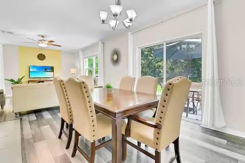 10108 Hawk Storm, Tampa, FL 33610