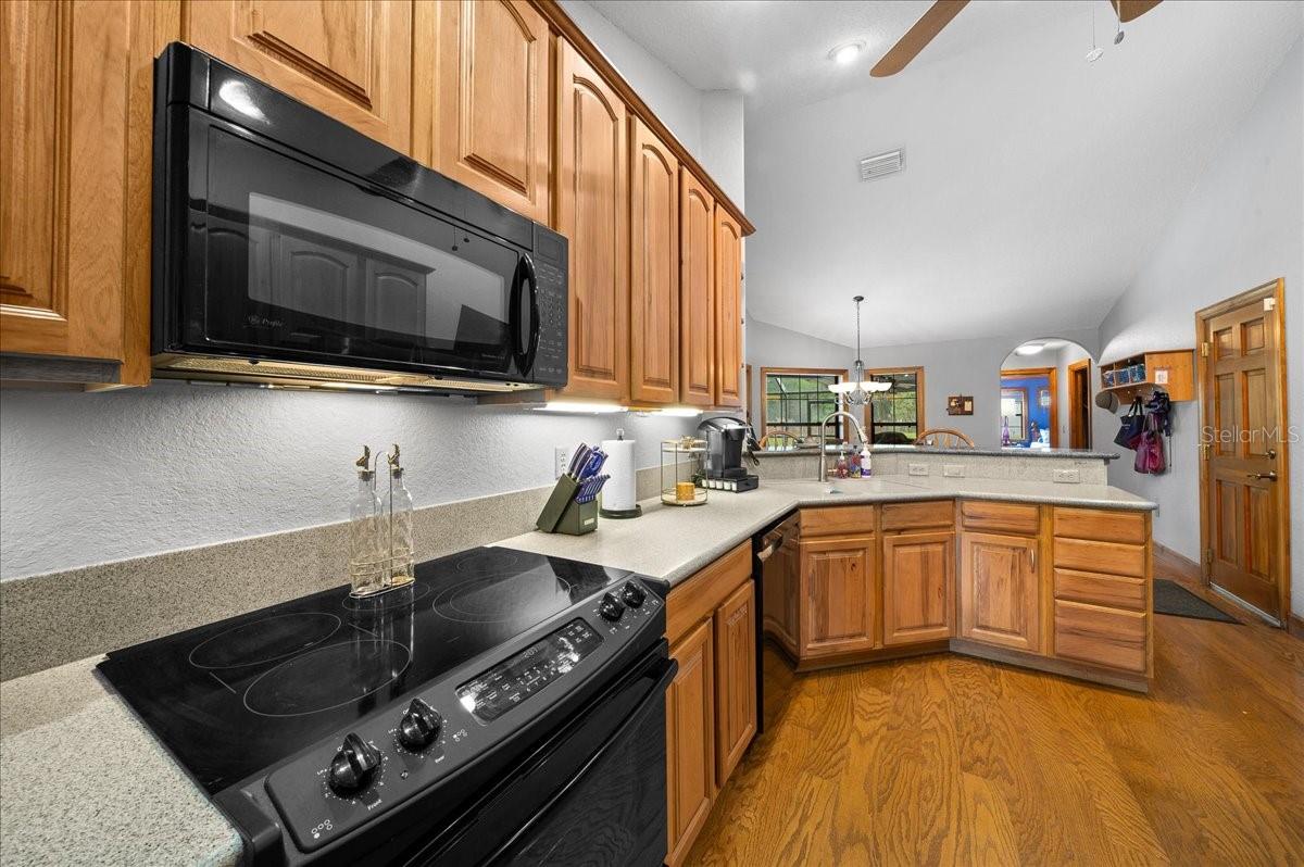 13456 Highway 318, Williston, FL 32696