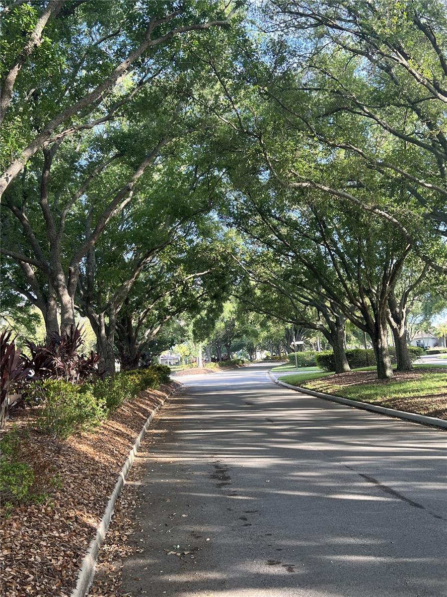360 Cedarbrook, Venice, FL 34292