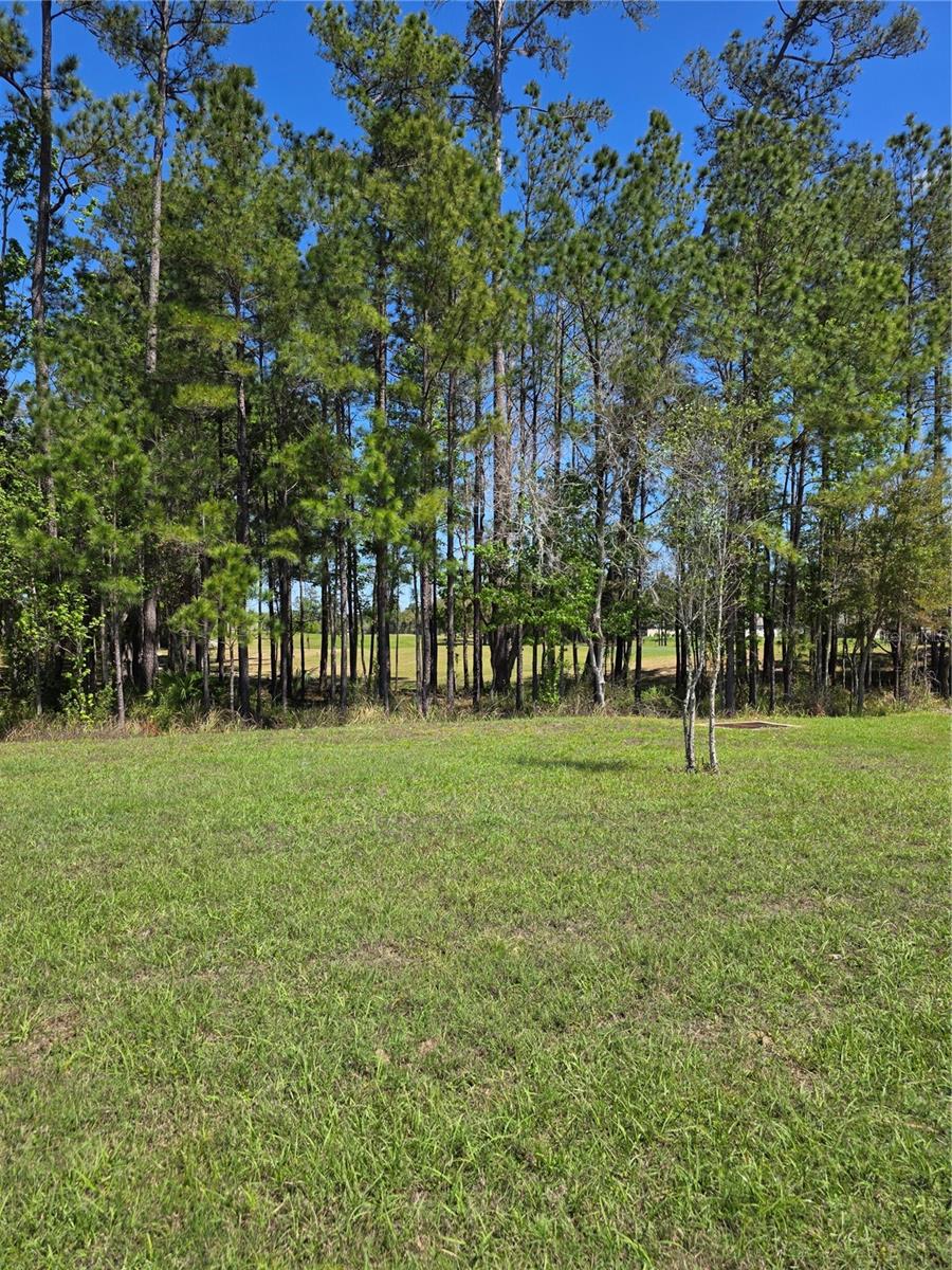 5058 Diantha, Brooksville, FL 34604