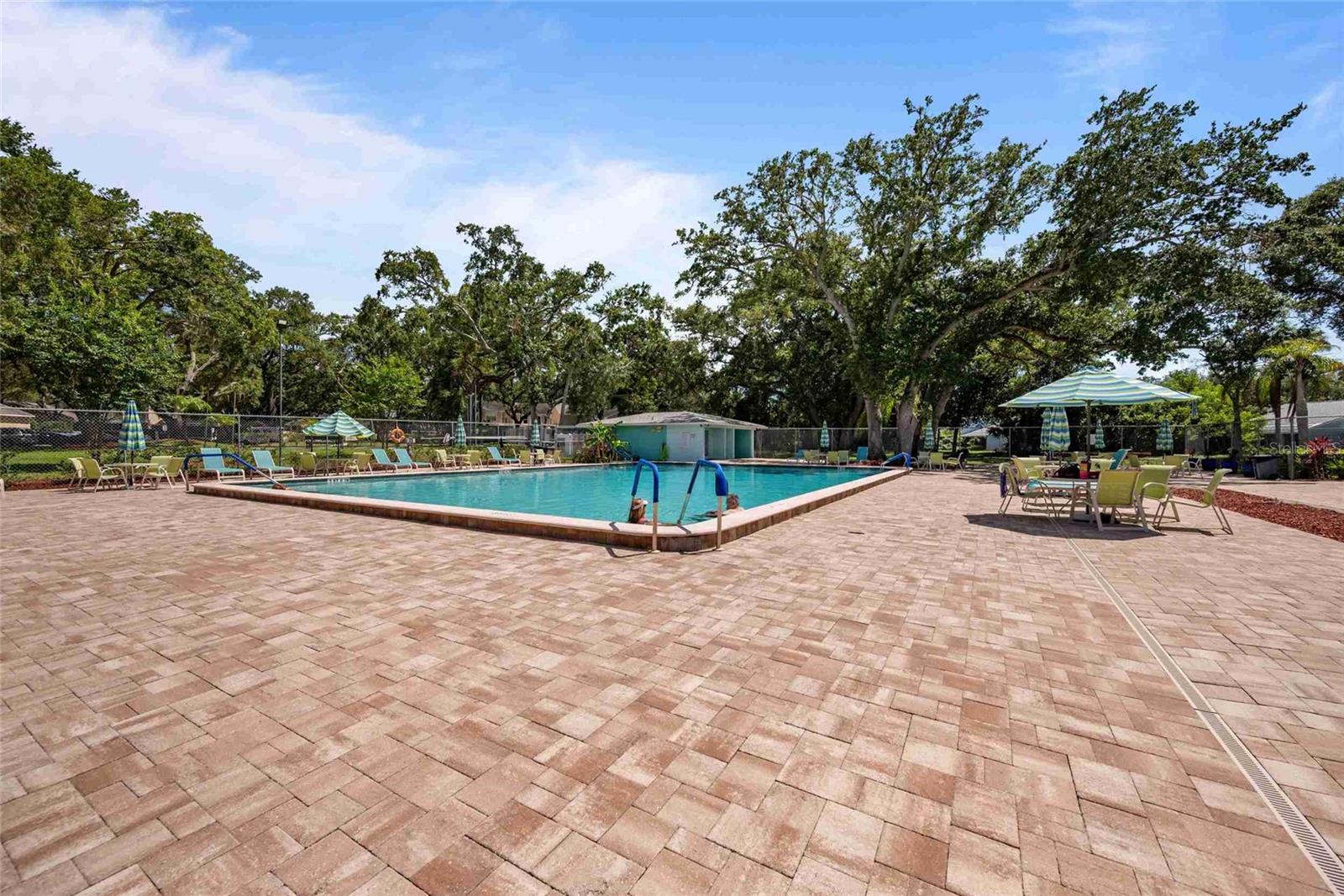 3350 Fox Hunt, Palm Harbor, FL 34683