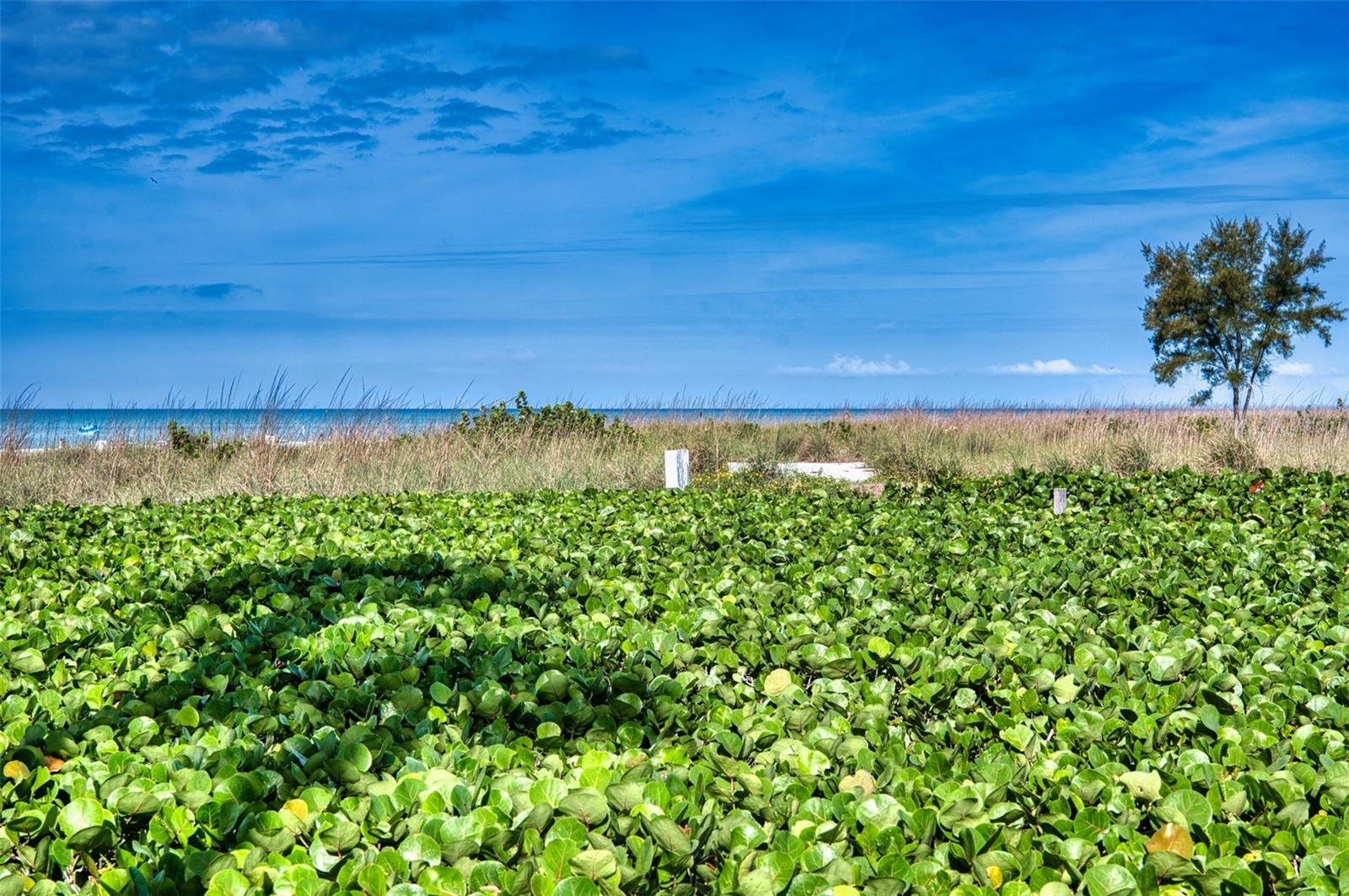 6701 Gulf of Mexico Unit 332, Longboat Key, FL 34228
