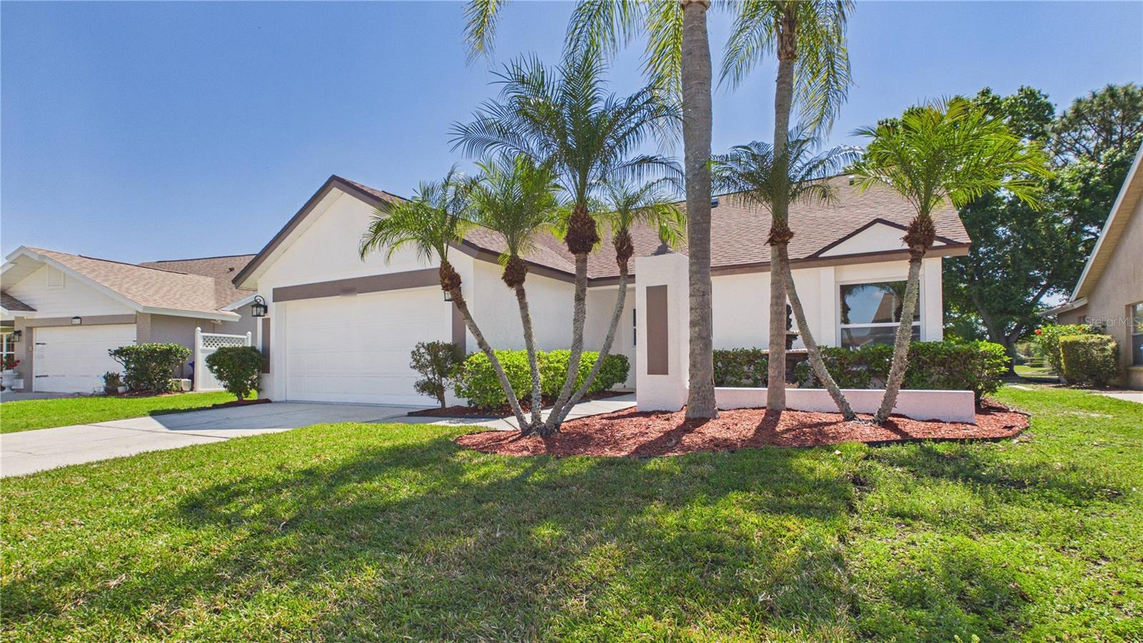 8609 Boysenberry, Tampa, FL 33635