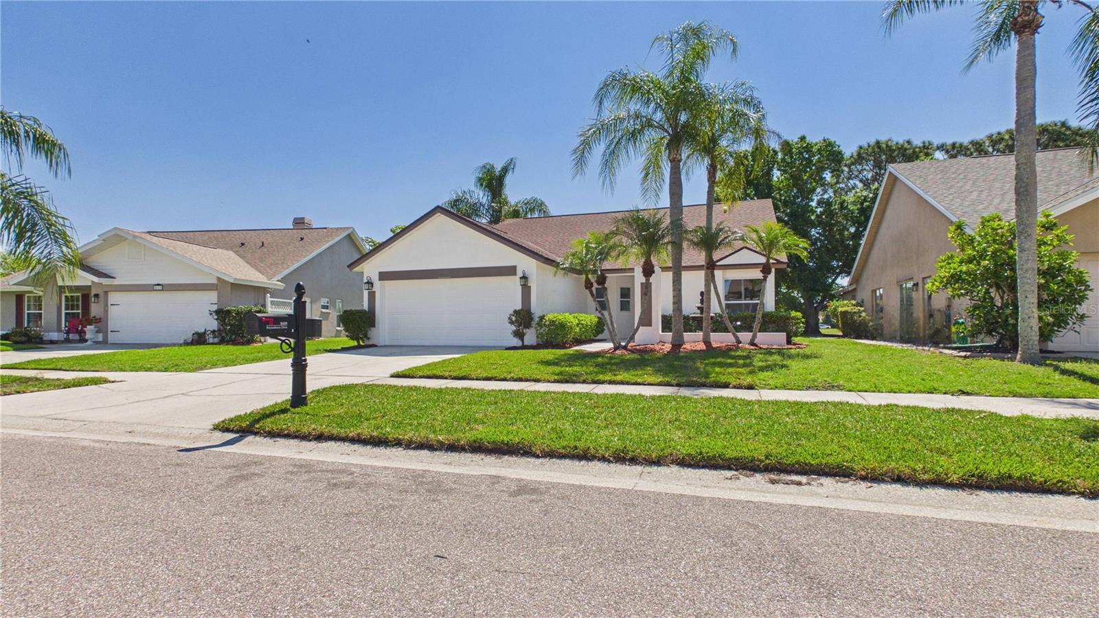 8609 Boysenberry, Tampa, FL 33635