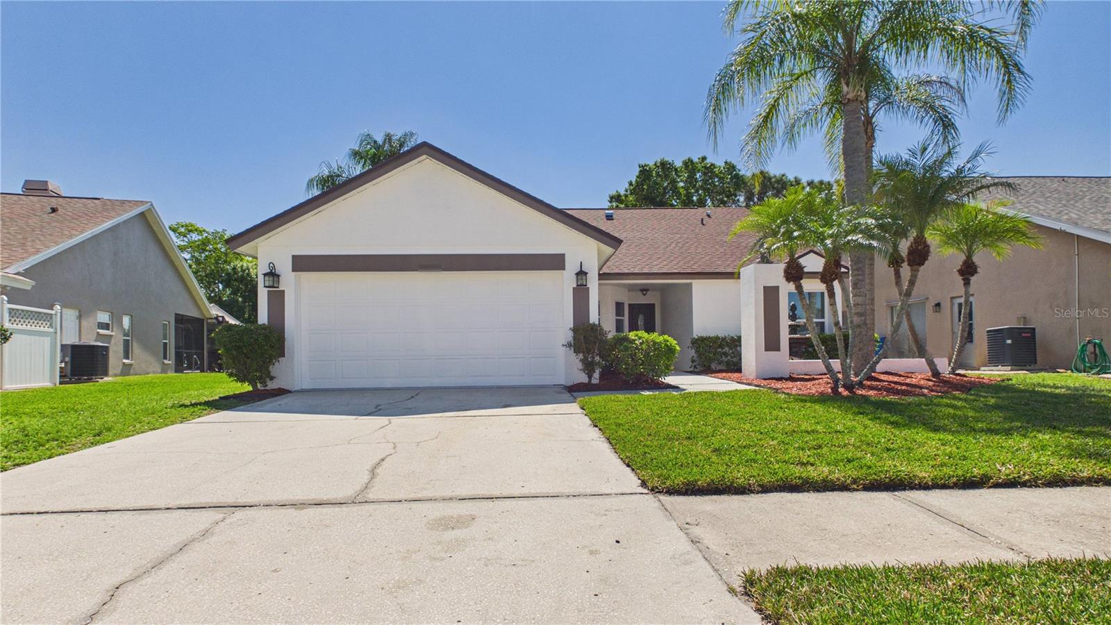 8609 Boysenberry, Tampa, FL 33635