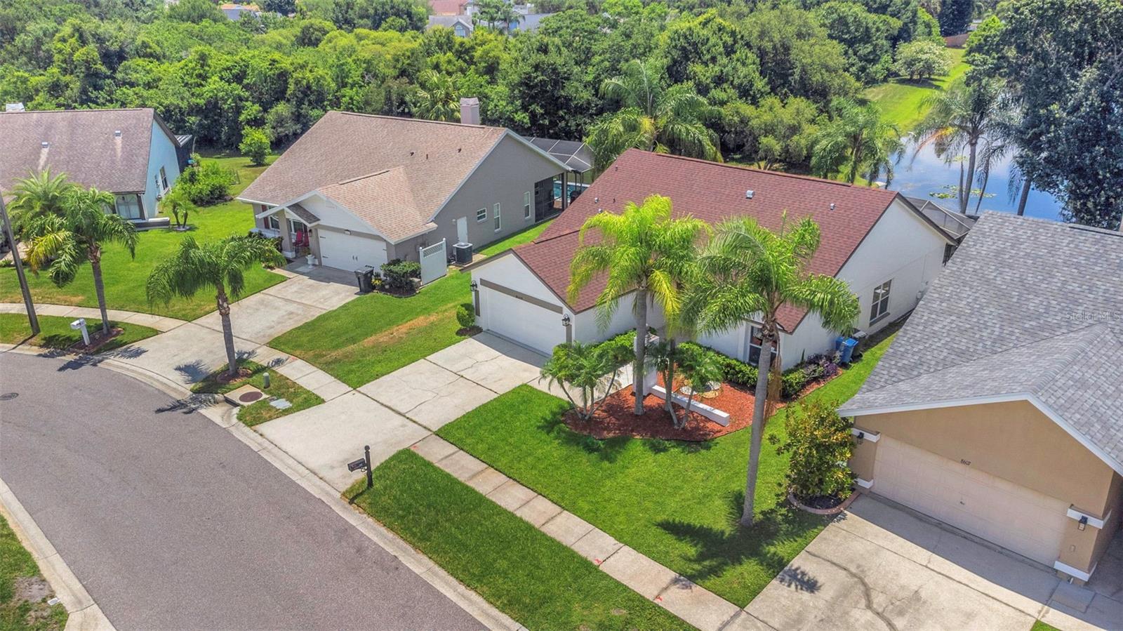 8609 Boysenberry, Tampa, FL 33635