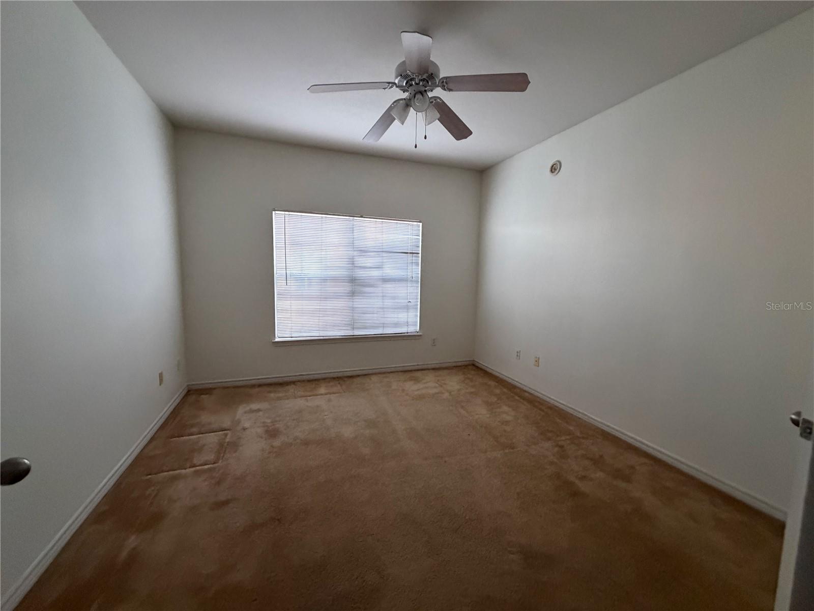4333 Bayside Village Unit 229, Tampa, FL 33615