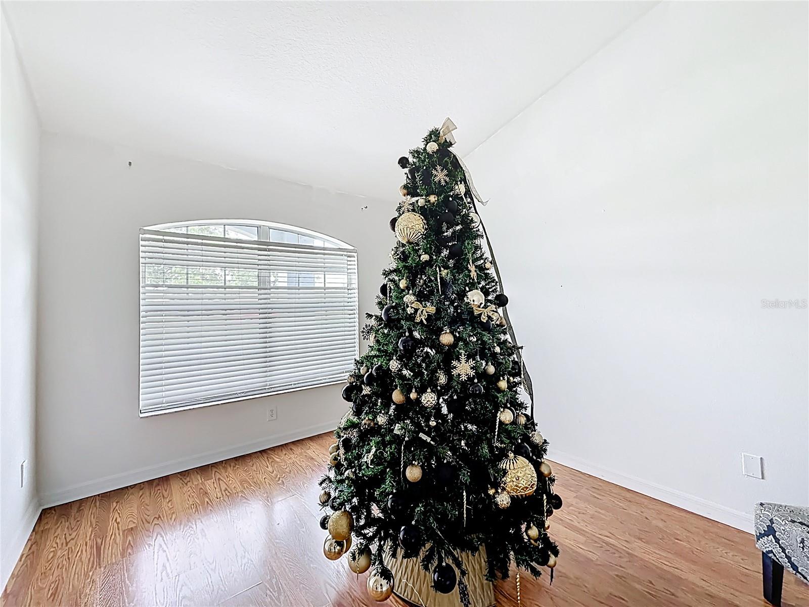 4319 4th, Ocala, FL 34475