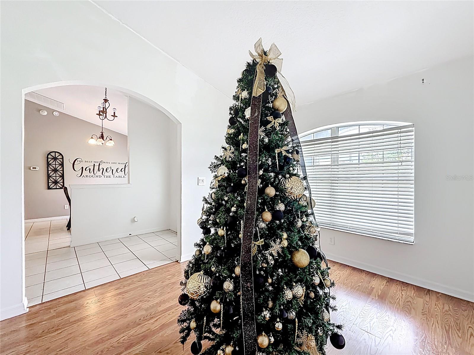 4319 4th, Ocala, FL 34475