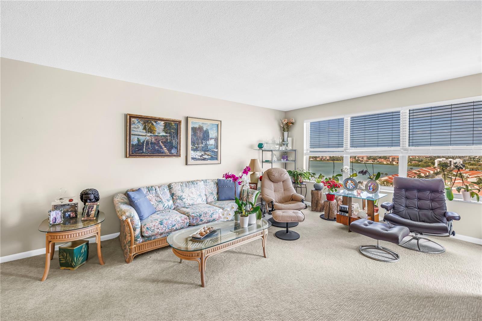 5220 Brittany Unit 1204, St Petersburg, FL 33715