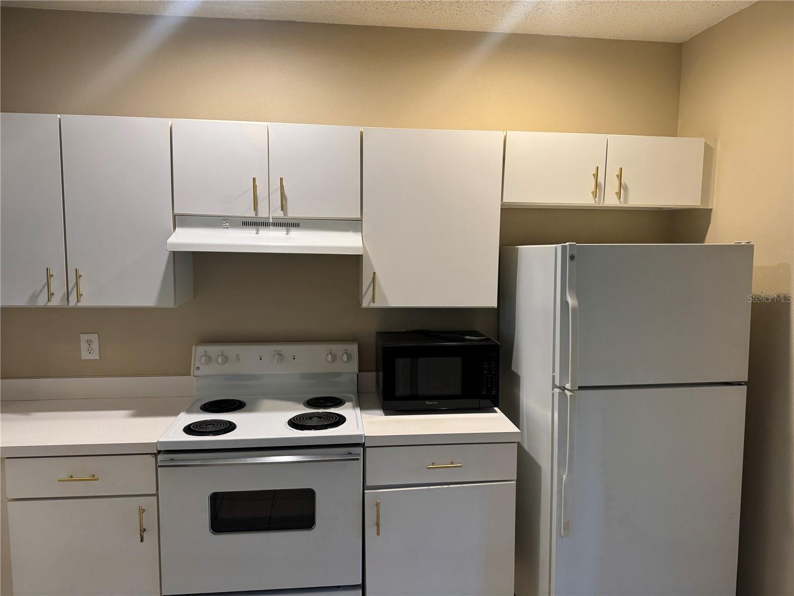 30059 Granda Hills, Wesley Chapel, FL 33543