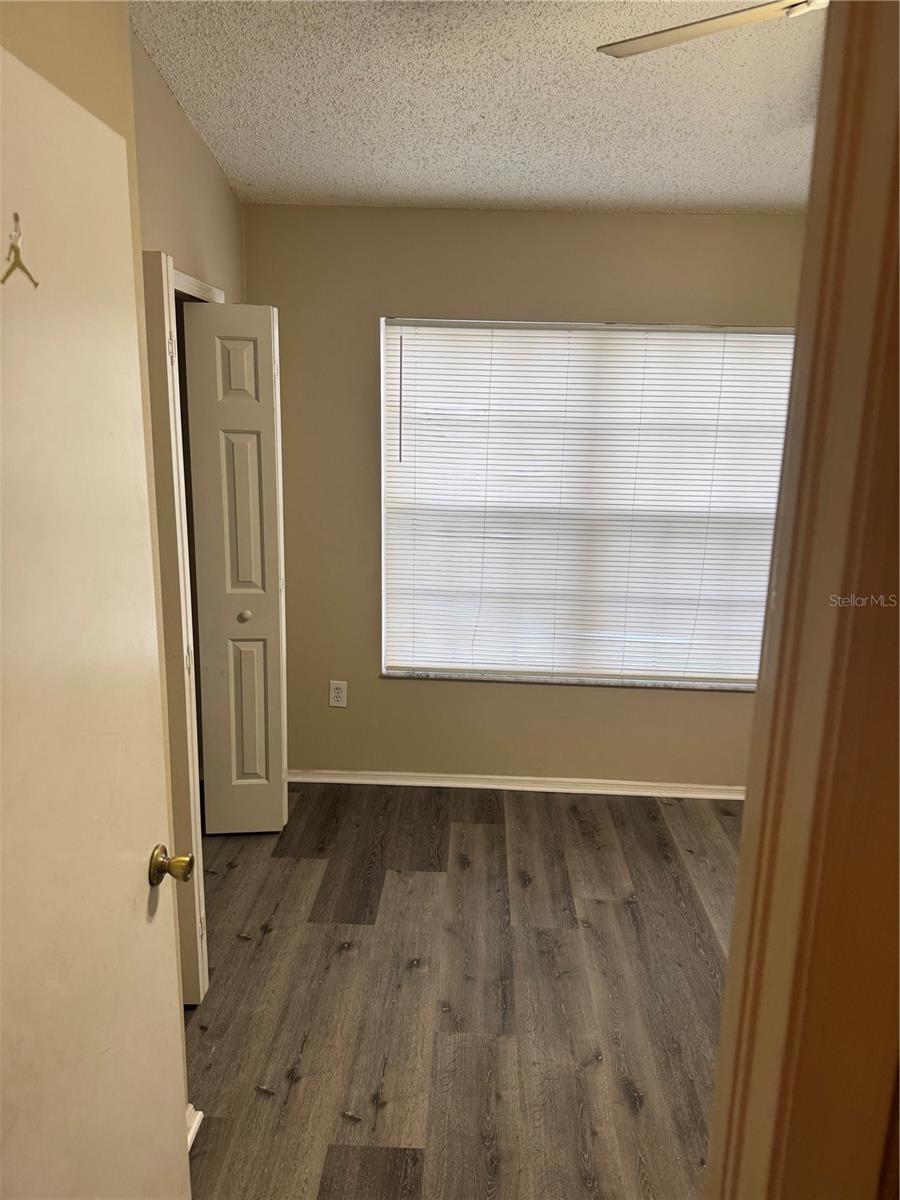 30059 Granda Hills, Wesley Chapel, FL 33543