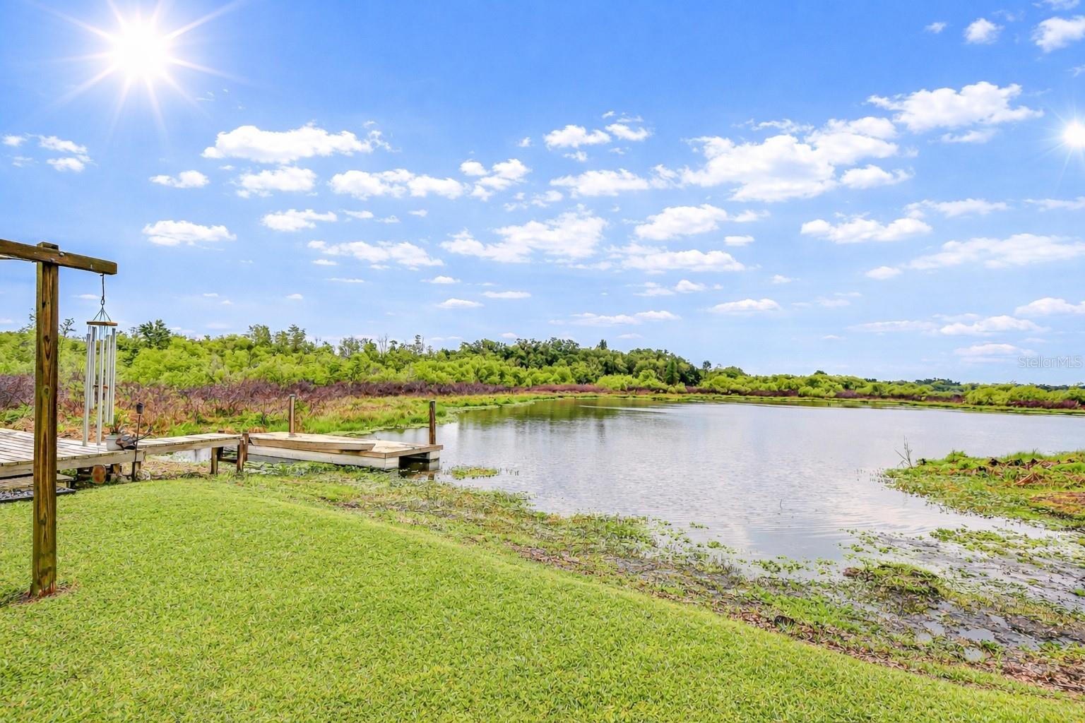 1216 Brandon Lakes, Valrico, FL 33594