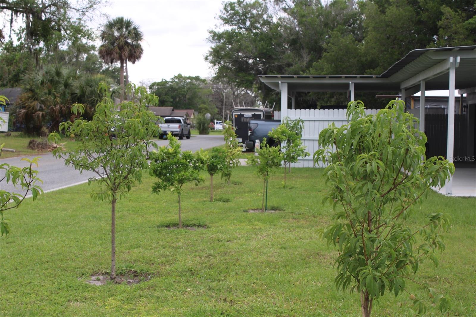 820 Pecan, Sanford, FL 32771