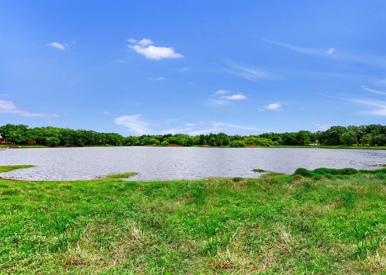 220 Rosana, Brandon, FL 33511
