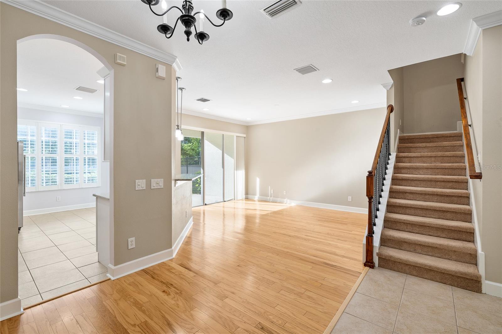 14543 Mirabelle Vista, Tampa, FL 33626
