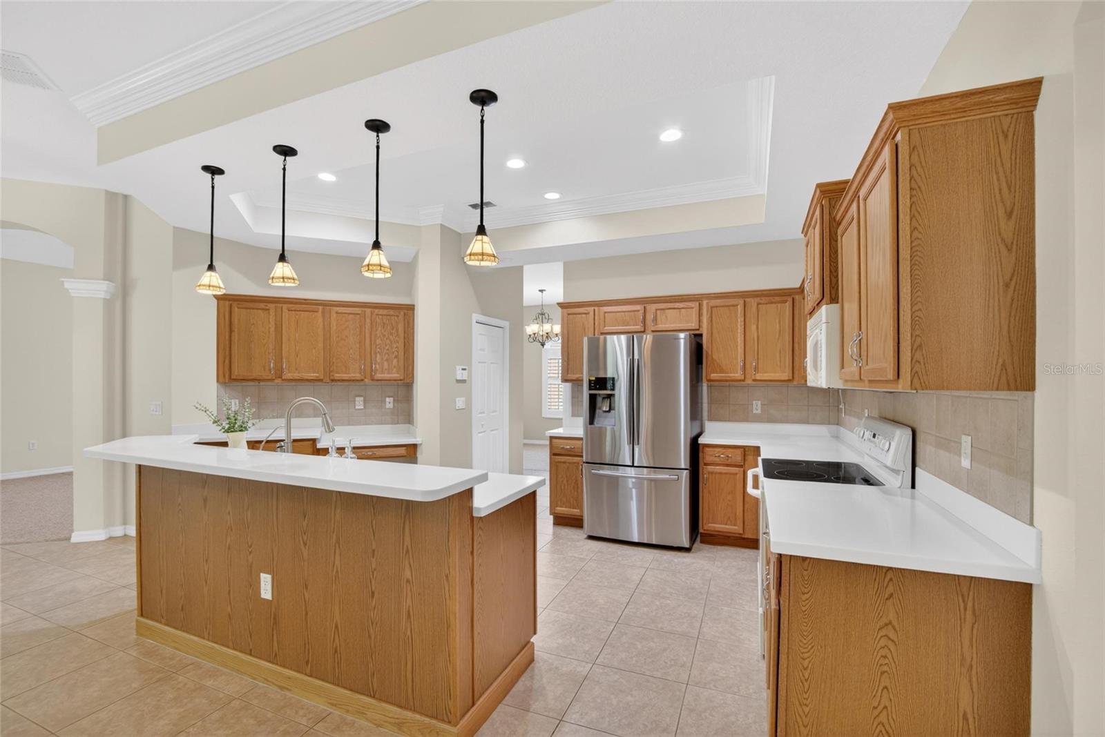 21234 Tangor, Land O Lakes, FL 34637