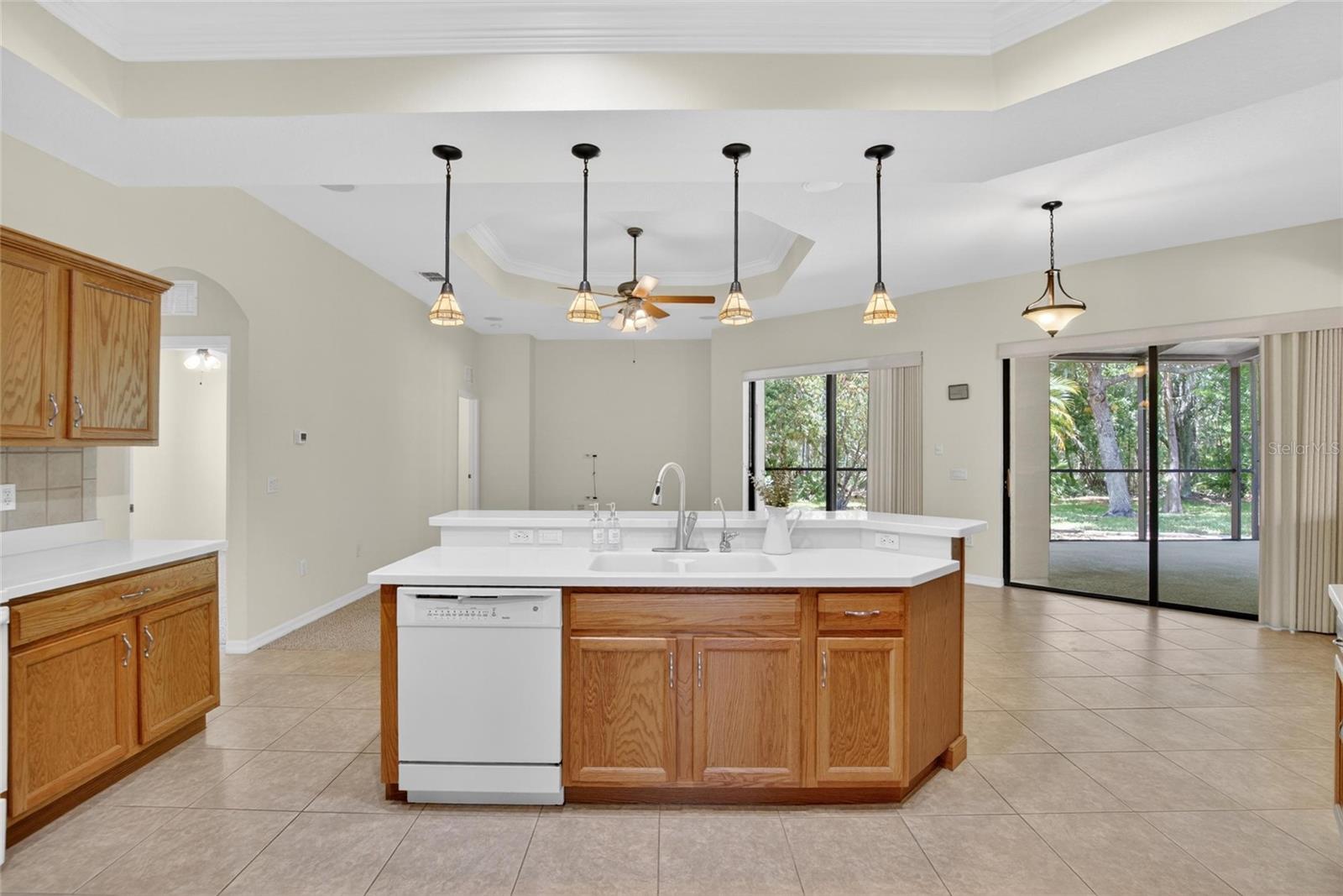 21234 Tangor, Land O Lakes, FL 34637