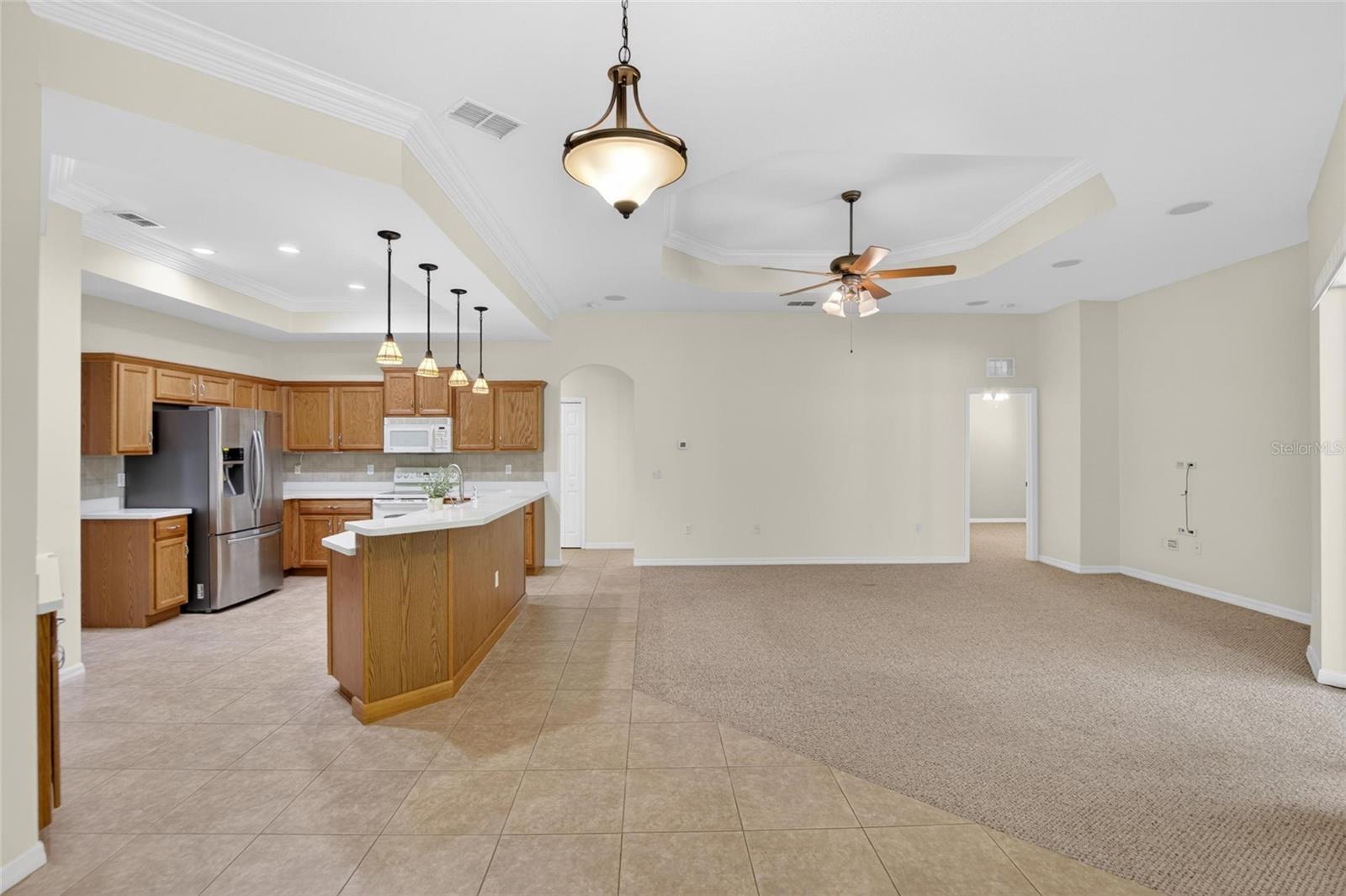 21234 Tangor, Land O Lakes, FL 34637