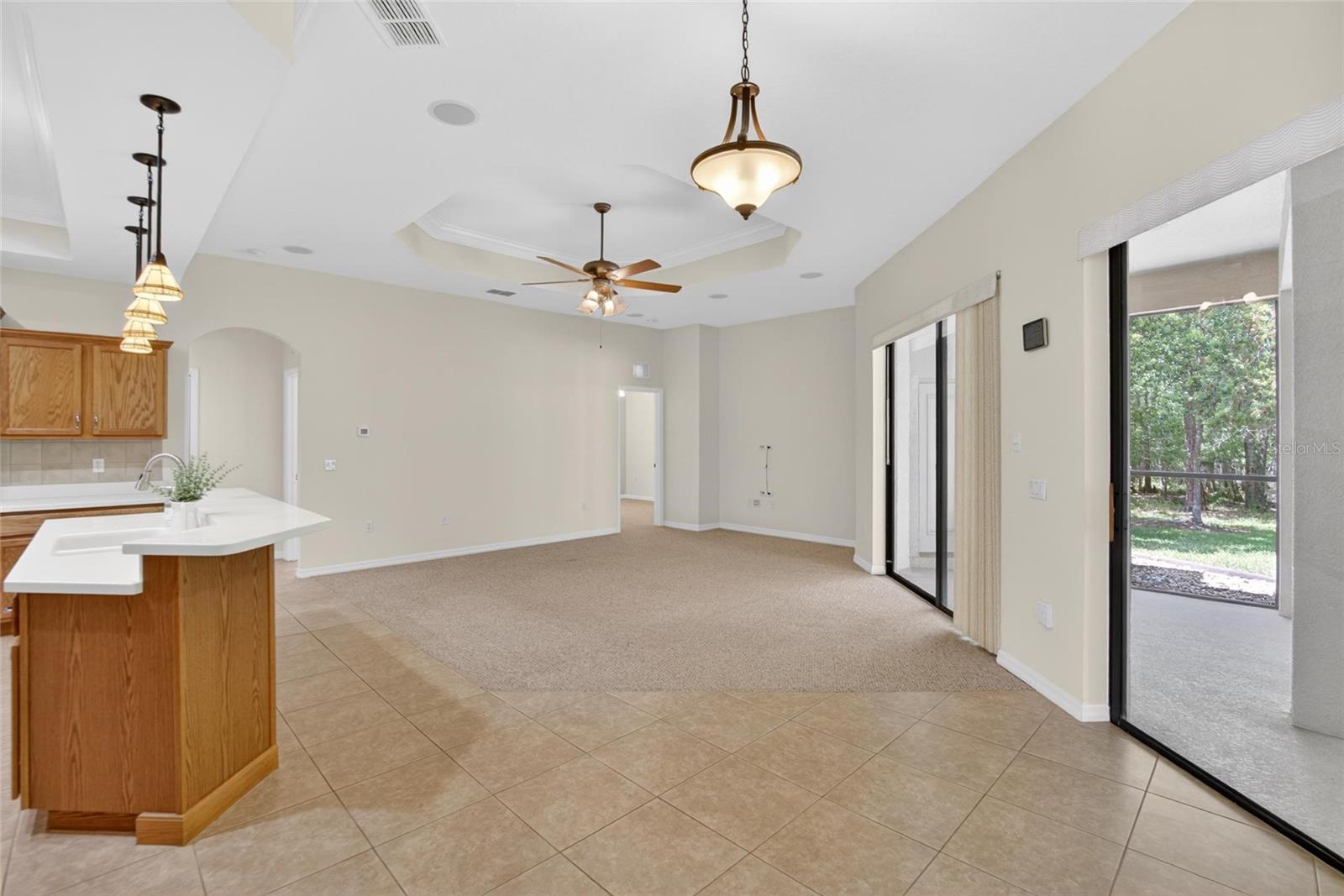 21234 Tangor, Land O Lakes, FL 34637