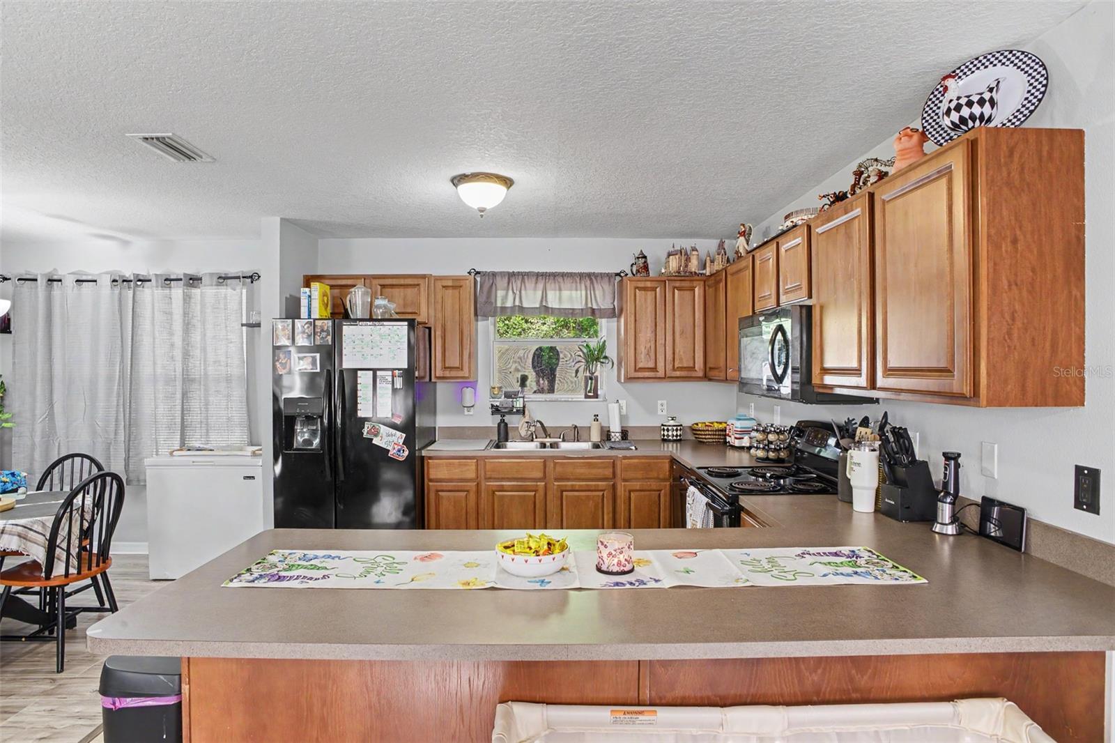 1886 Laurel, Bunnell, FL 32110
