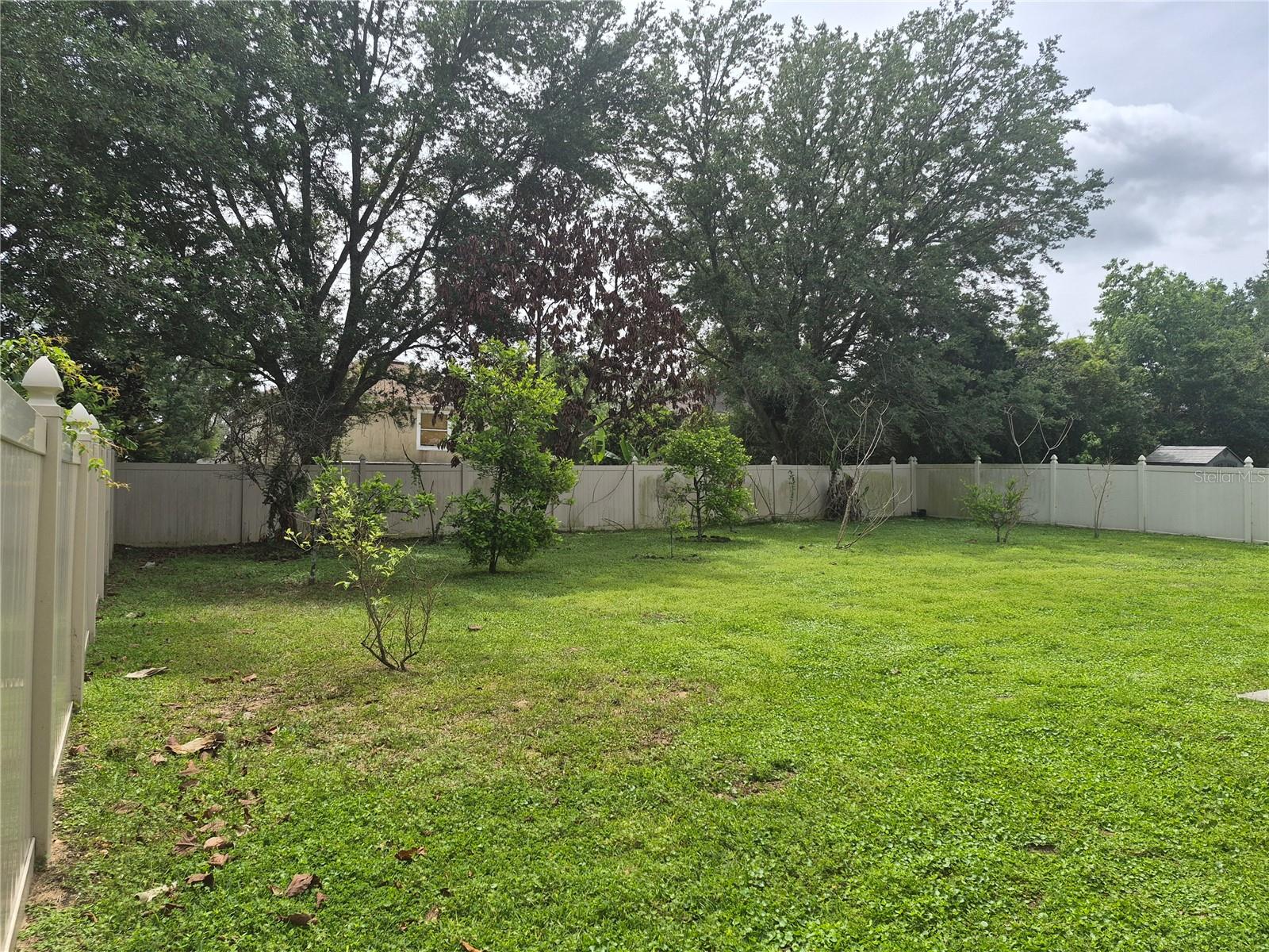 2554 Palmetto Ridge Circle, Apopka, FL 32712