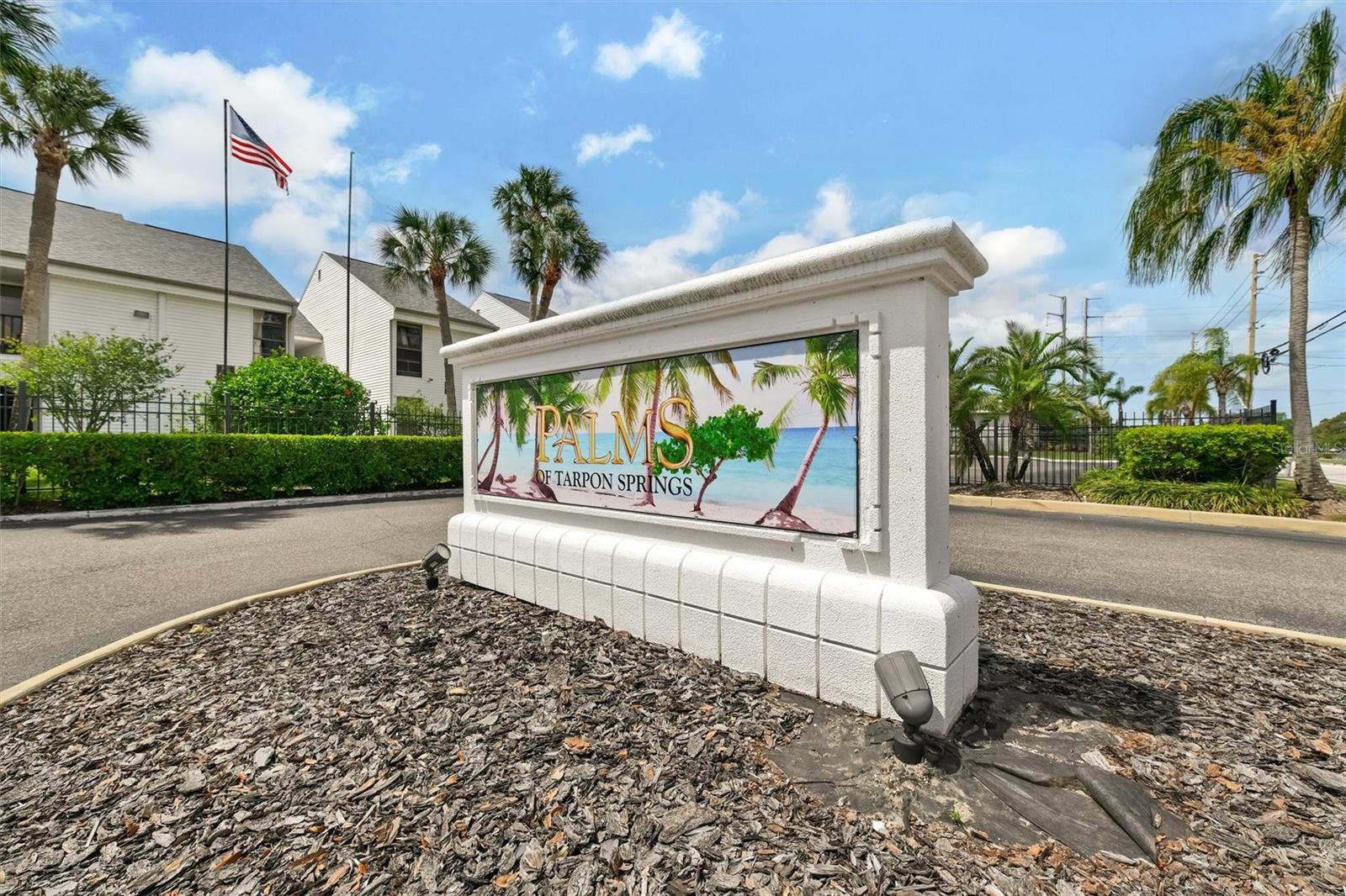 704 Haven Unit 704, Tarpon Springs, FL 34689