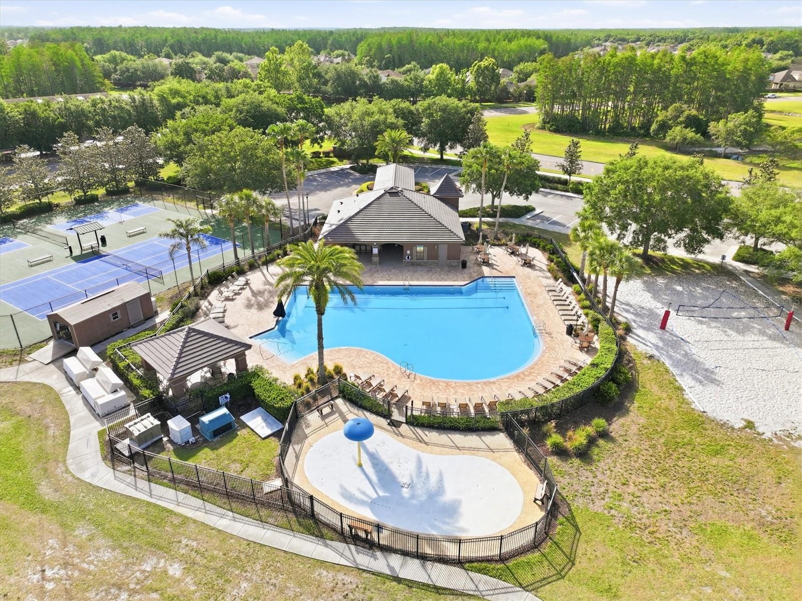 3036 Gianna, Land O Lakes, FL 34638