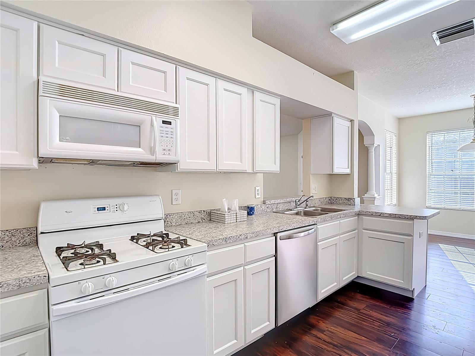 1931 Sassafras, Wesley Chapel, FL 33543