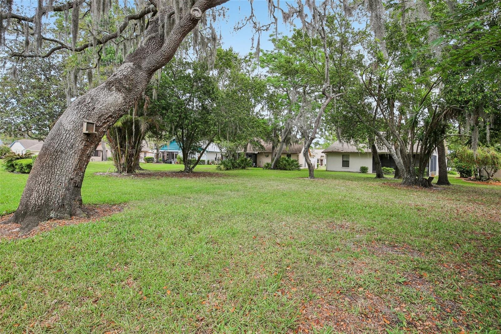 11622 Cocowood, New Port Richey, FL 34654