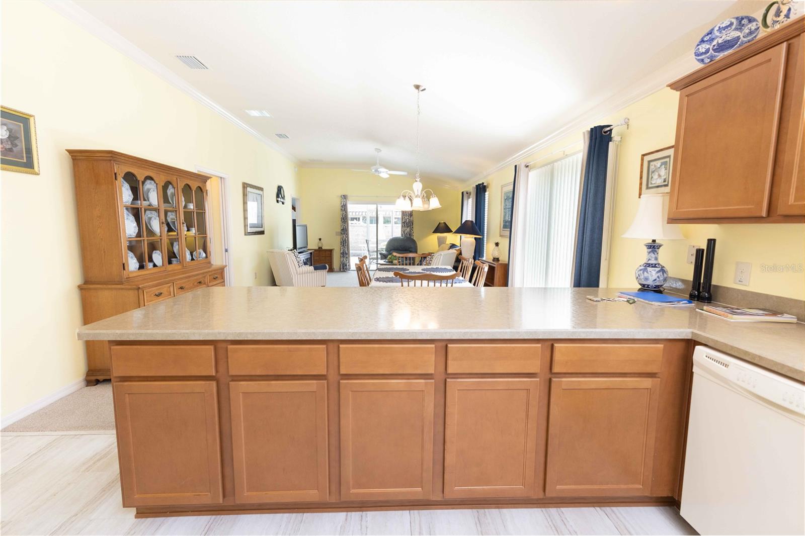 2306 Nackman, The Villages, FL 32162