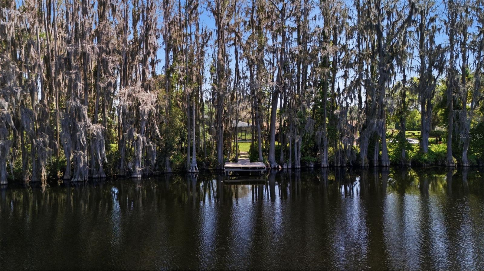 820 Newberger, Lutz, FL 33549