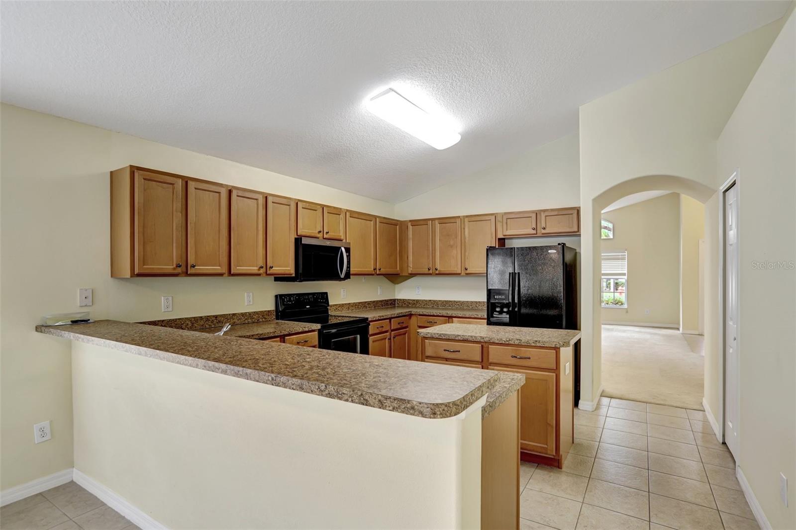 1029 Orange Cosmos, Davenport, FL 33837