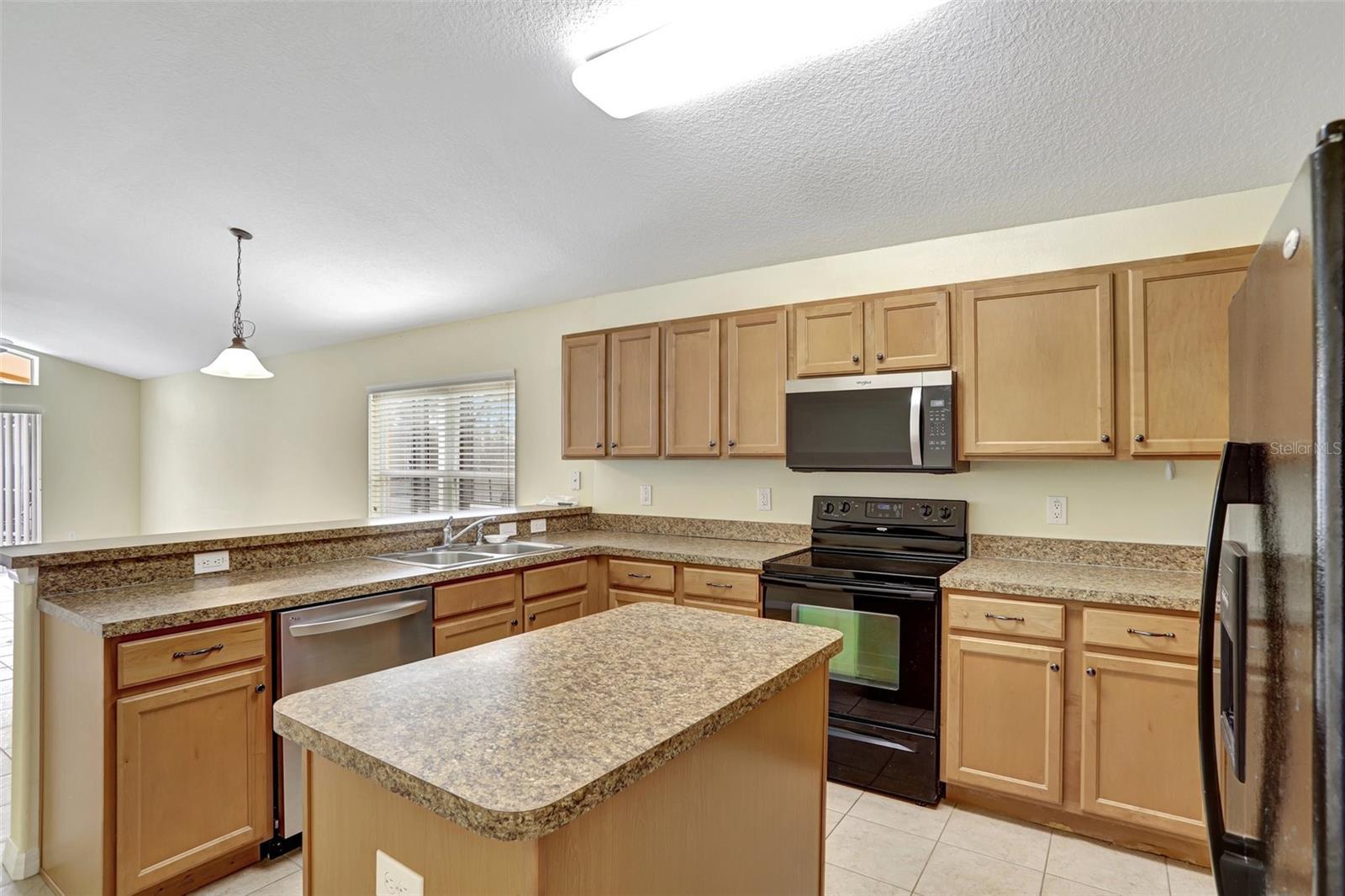 1029 Orange Cosmos, Davenport, FL 33837