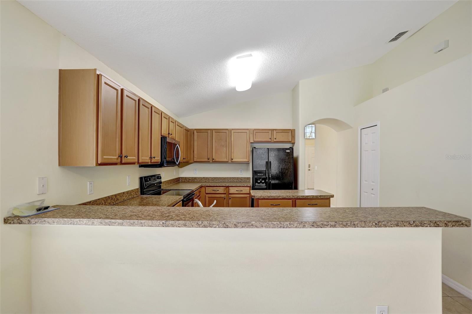 1029 Orange Cosmos, Davenport, FL 33837