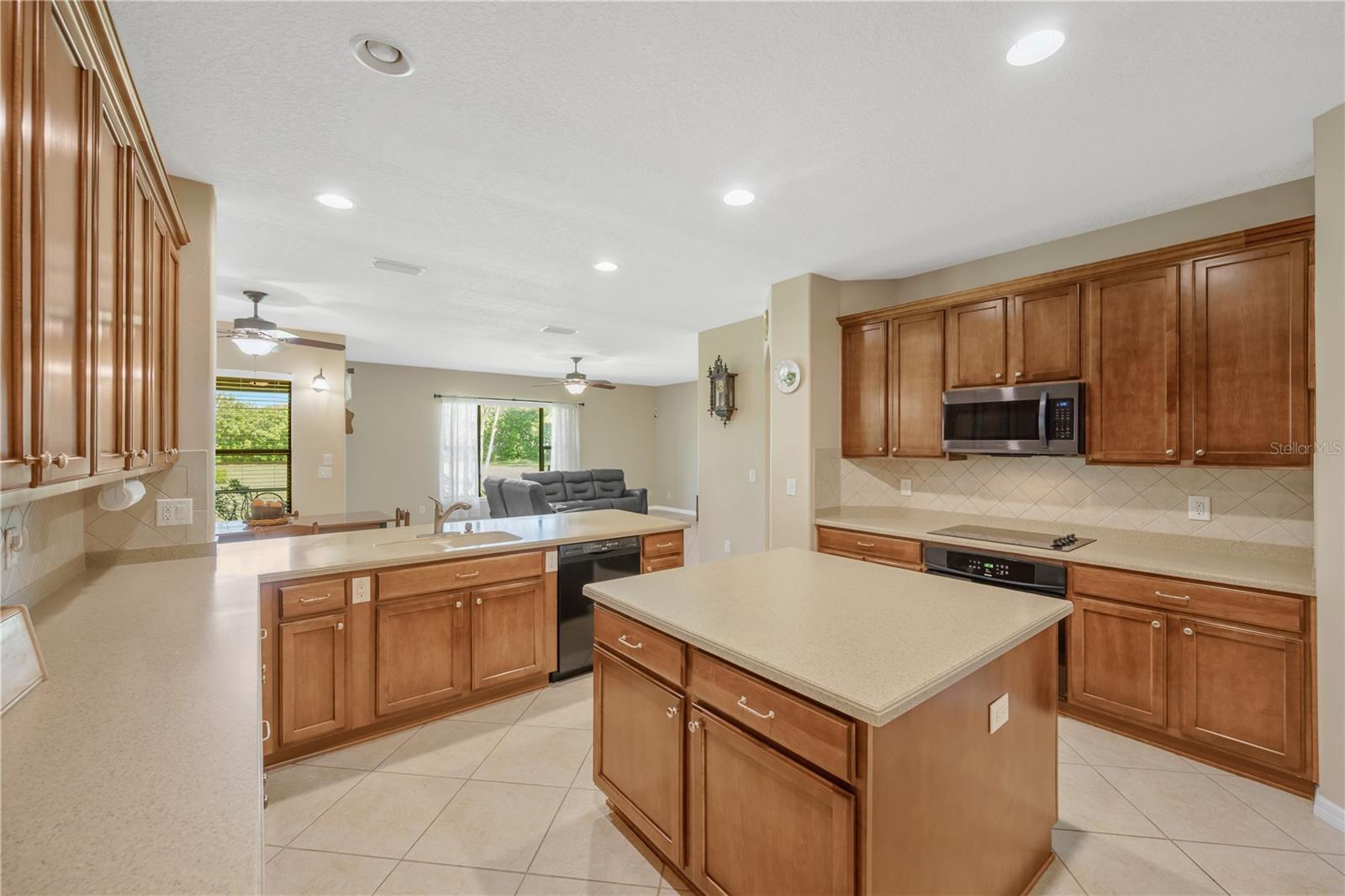 9313 Lisbon, Seffner, FL 33584