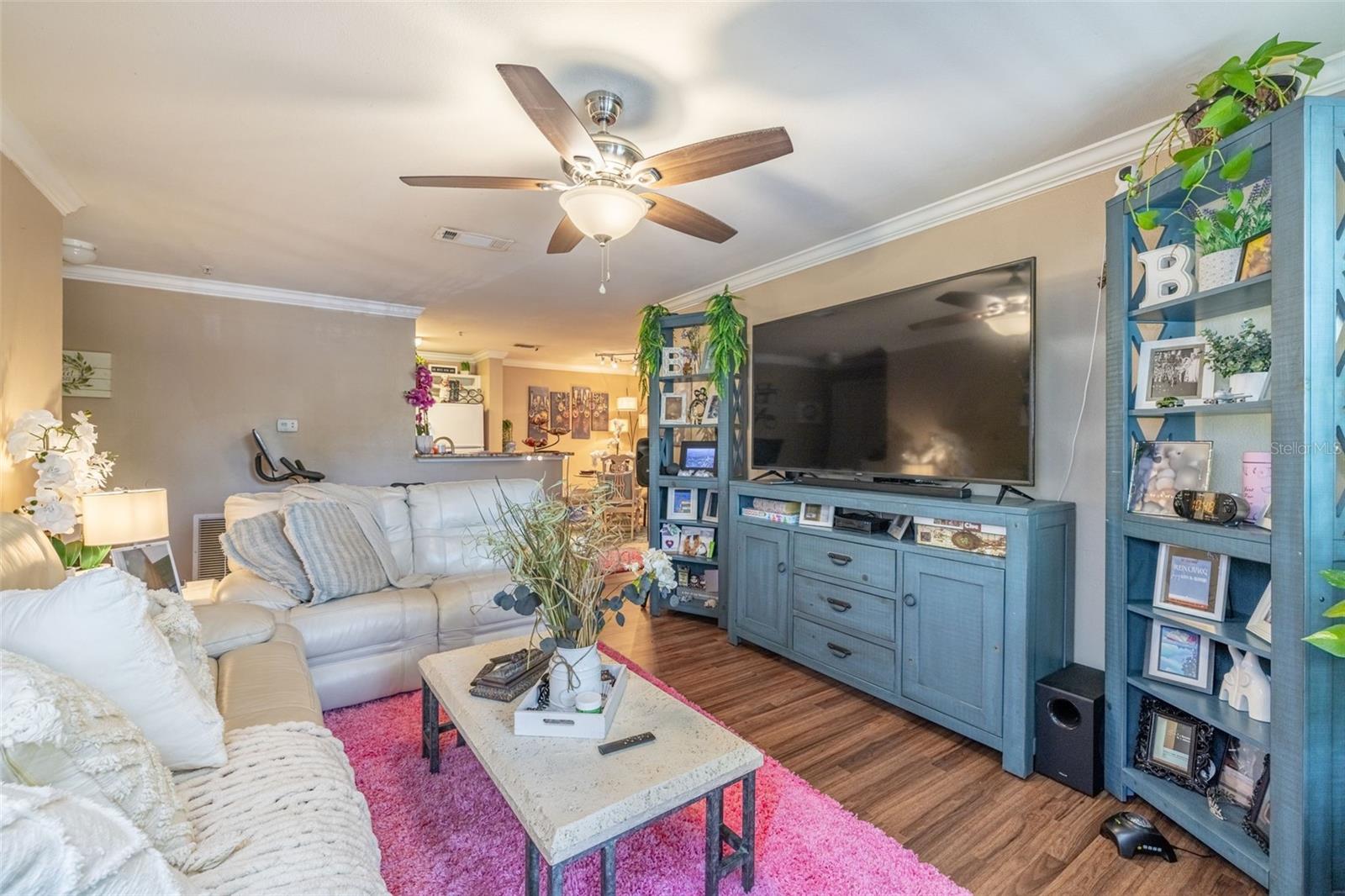 18439 Bridle Club, Tampa, FL 33647