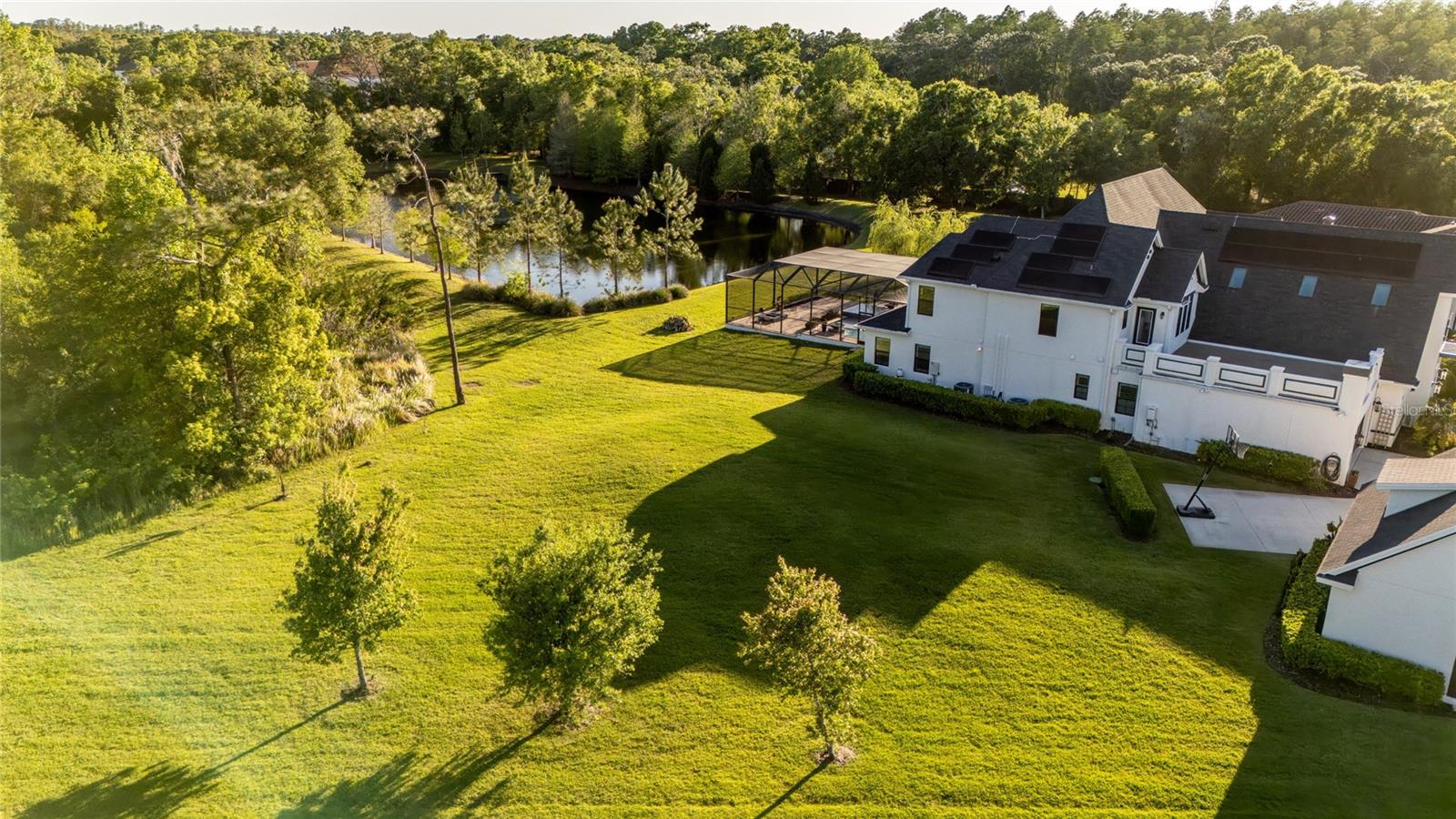 19101 Magnolia Farms, Odessa, FL 33556