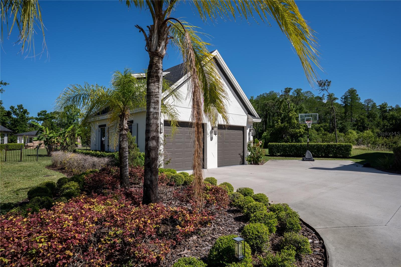 19101 Magnolia Farms, Odessa, FL 33556