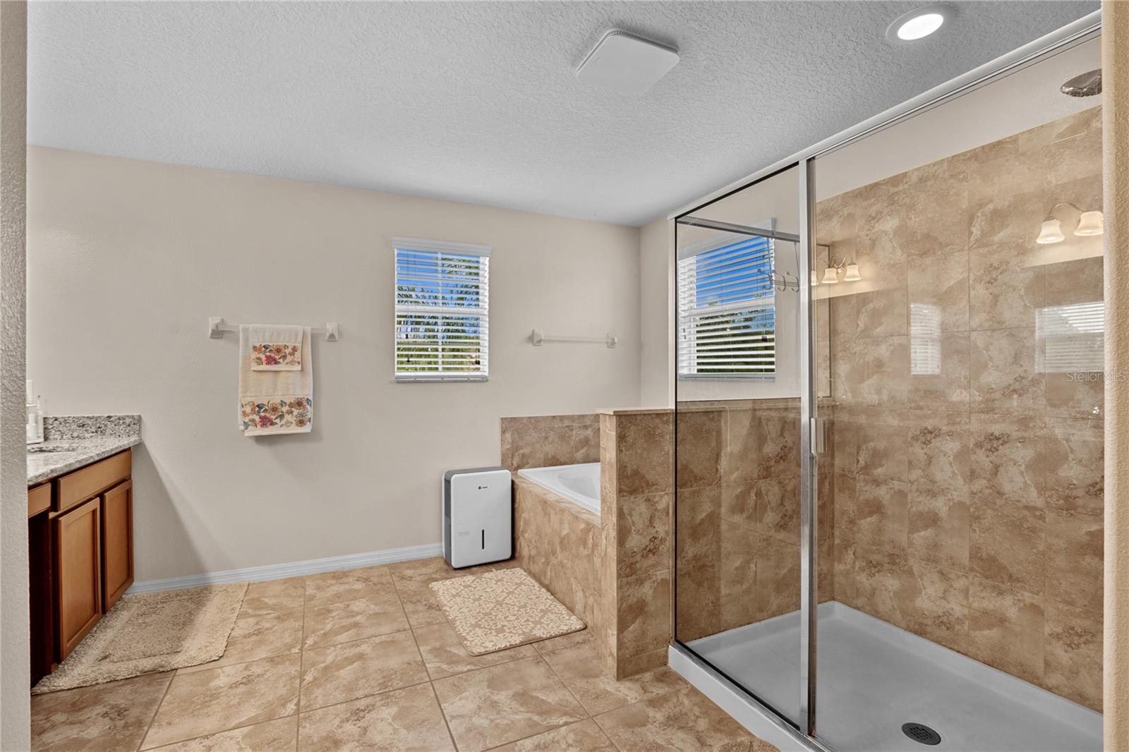 13161 Royal Pines, Riverview, FL 33579