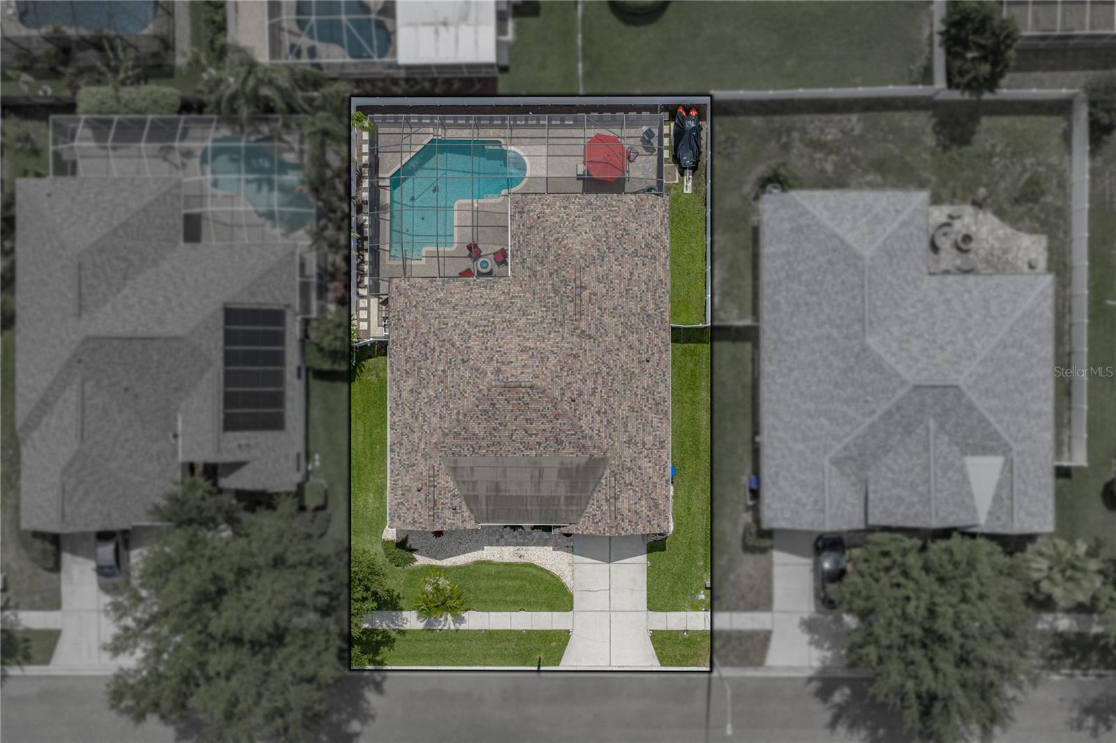 1542 Swamp Rose, Trinity, FL 34655