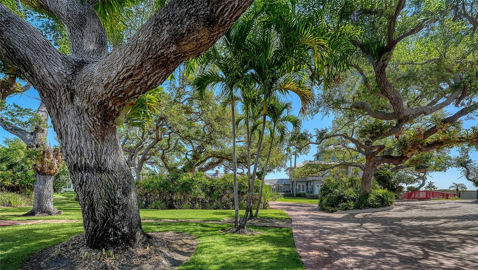 1249 Basin, Sarasota, FL 34242