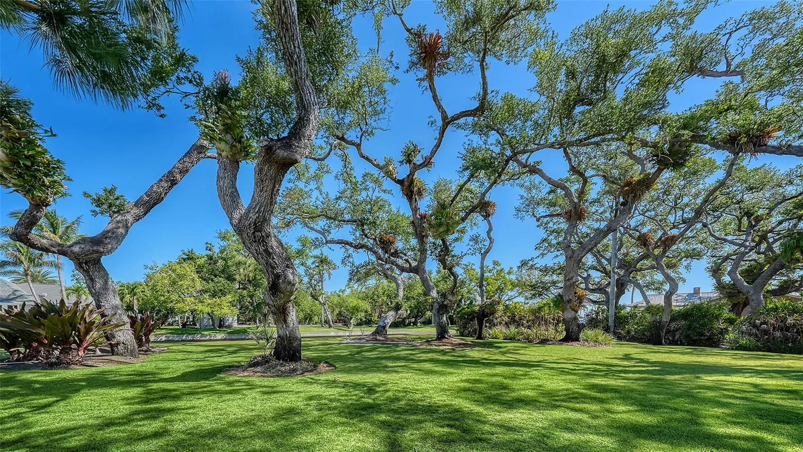 1249 Basin, Sarasota, FL 34242