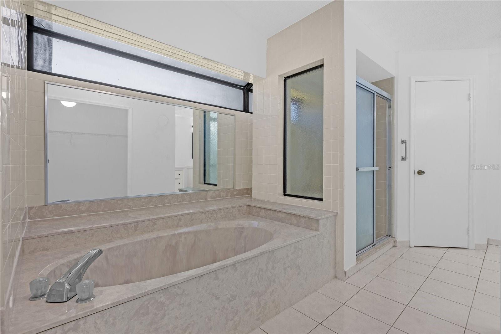 9011 Chapman Oak, Windermere, FL 34786