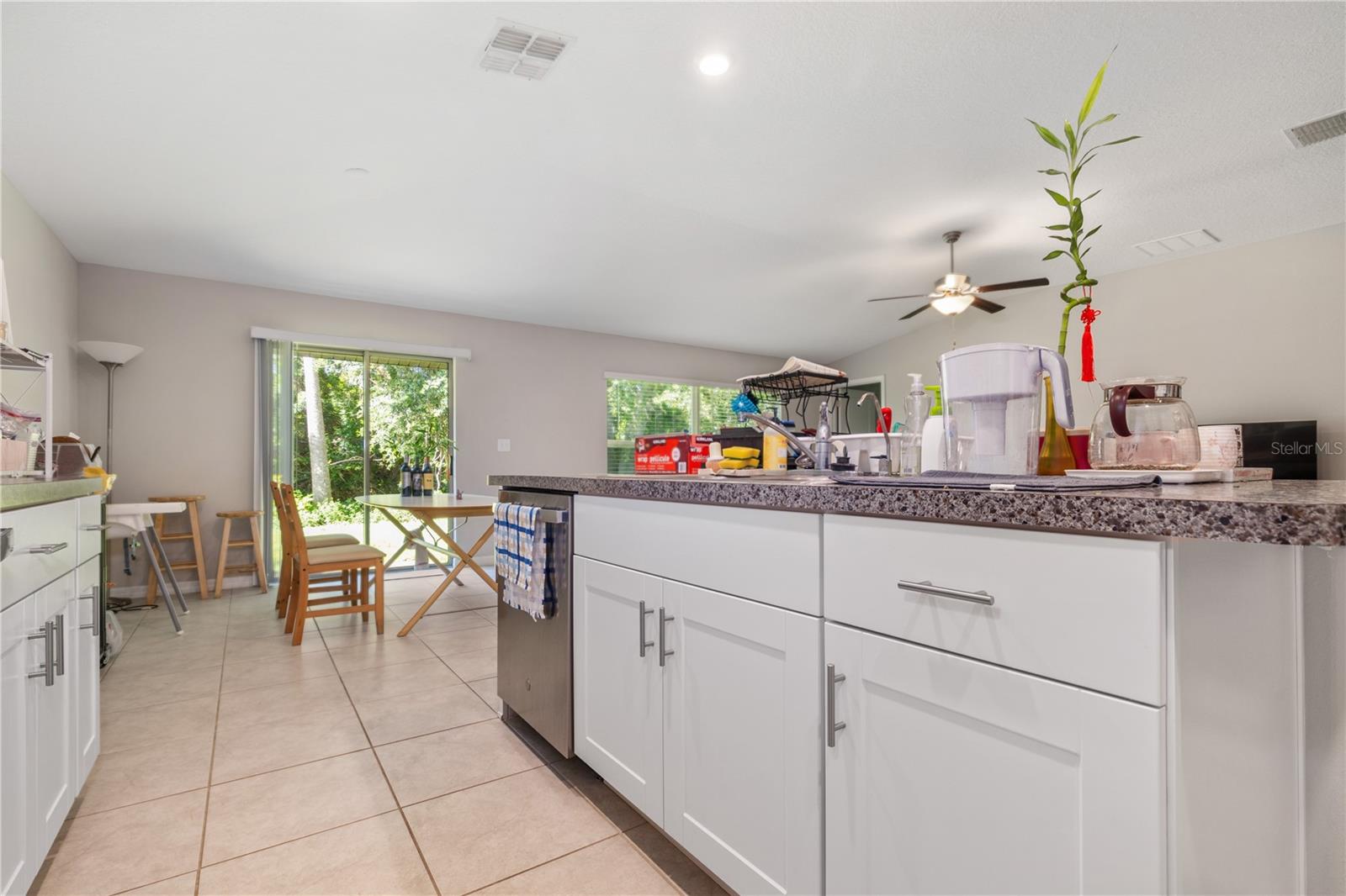 4726 Wild Senna, Tampa, FL 33619